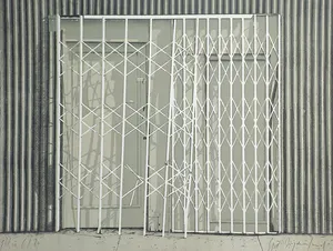 Siet Zuyderland - Hekwerk, litho kopen? Bied vanaf 75!