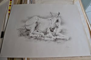 Piet Klaasse - Rustend Paard kopen? Bied vanaf 60!