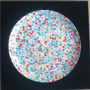 Damien Hirst - Porselein (Fine Bone China)- Heni uitgave -The Currency - Diameter 27 cm kopen? Bied vanaf 75!