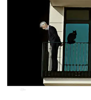 Mr Strange - Le Vieil Homme et ses Chats kopen? Bied vanaf 80!