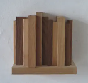 Eric van Solm - 'Vorm van boeken' (revised) kopen? Bied vanaf 395!