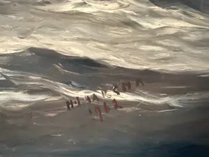 Haaike Abraham Jaarsma - Zeezicht kopen? Bied vanaf 50!