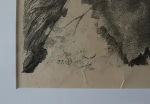 Aart van Dobbenburgh - Rijpende druiven kopen? Bied vanaf 50!