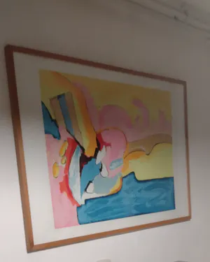 Ton van Kesteren - Mooie grote zeefdruk + boek kopen? Bied vanaf 60!