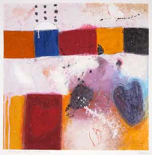 Alexander Vogels - Zeefdruk, Evolutions IV verkocht voor € 1!