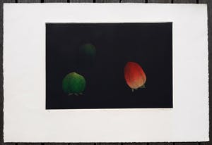 Tomoe Yokoi - Kaki, aquatint ets kopen? Bied vanaf 75!
