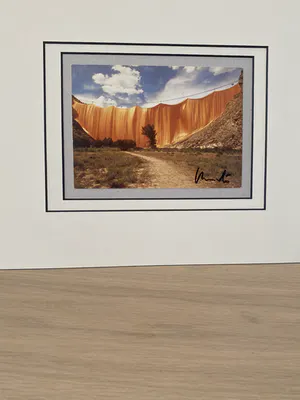 Christo - Valley curtin kopen? Bied vanaf 100!