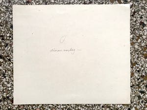 Thijs Mauve - De Dierenoorlog - handgesigneerd kopen? Bied vanaf 30!