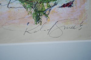 Richard Smeets - Zeefdruk & Gesigneerd monumentaal boek 'over rozen' kopen? Bied vanaf 65!