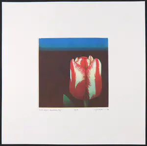 Joop Vegter - Mezzotint, Dutch Tulip 'American Flag' kopen? Bied vanaf 50!