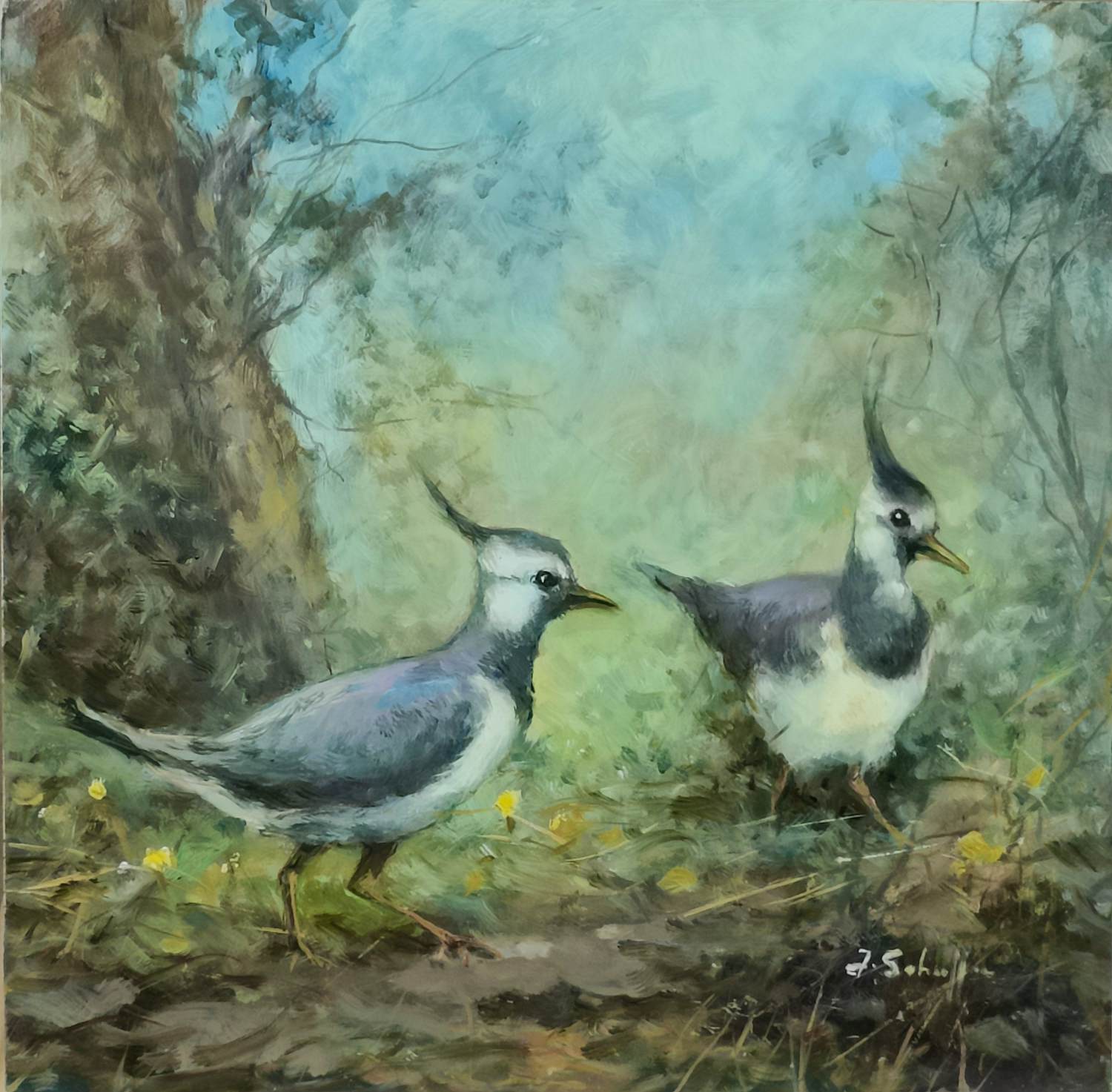 Jan Schaeffer - Kieviten kopen? Bied vanaf 75!