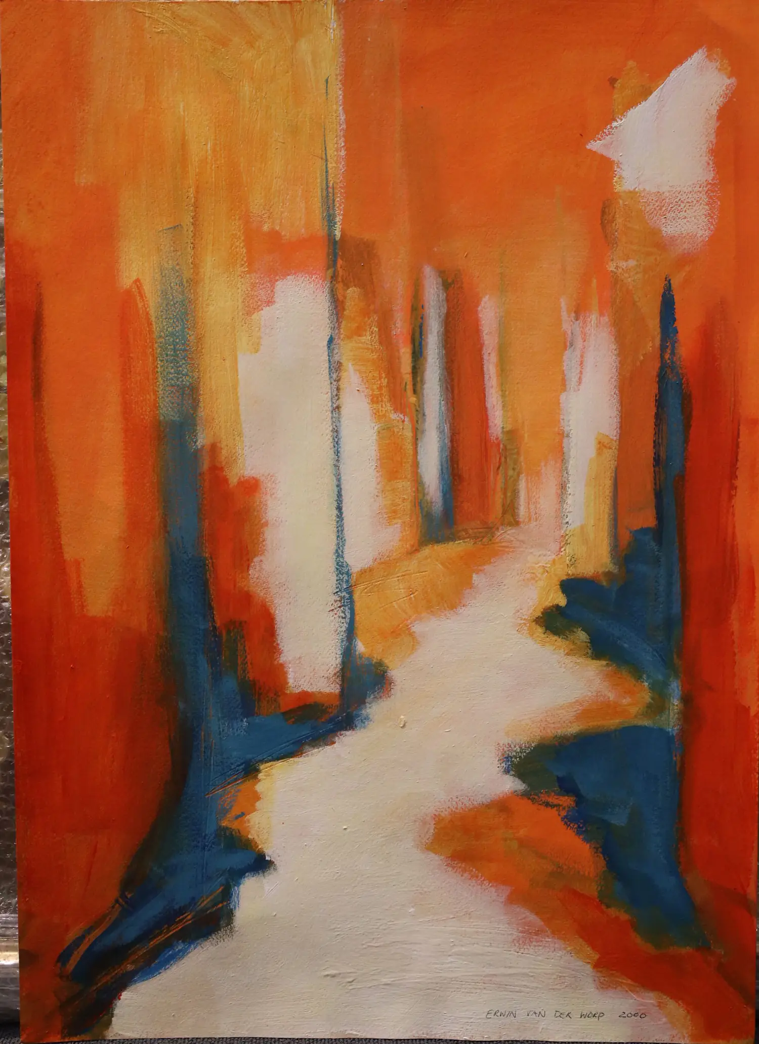 Erwin van der Worp (1968)