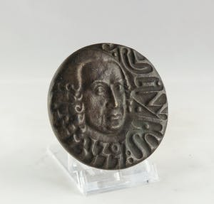 Christina Nijland - Bronzen penning, Linnaeus kopen? Bied vanaf 35!