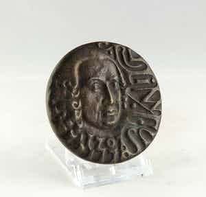 Christina Nijland - Bronzen penning, Linnaeus verkocht voor € 35!