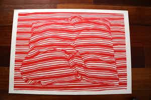 Har Sanders - 'Ingedut kussen' verkocht voor € 50!