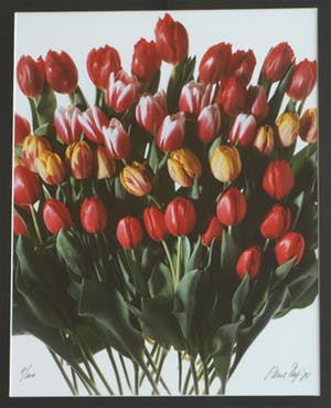 Paul Huf - Foto , Flowers : Gemengde Tulpen – gesigneerd & ingelijst - 1984 kopen? Bied vanaf 1!