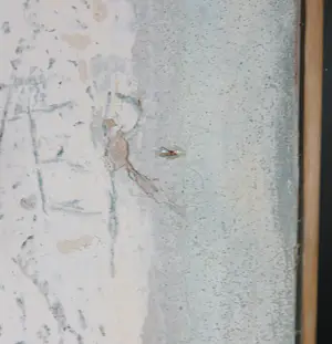 Cora Euser - Gemengde techniek op karton, Toilet (Groot) kopen? Bied vanaf 1!