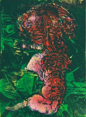 Wilfried Pas - Grote gesigneerde zeefdruk - 8/10 - Kleine oplage! - 1972 - Zelden aangeboden! kopen? Bied vanaf 65!