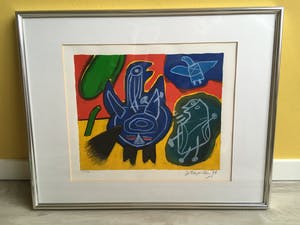 Corneille - Vogels kopen? Bied vanaf 125!