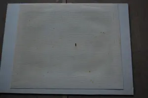 Niet of onleesbaar gesigneerd - polderlandschap met eenden kopen? Bied vanaf 1!