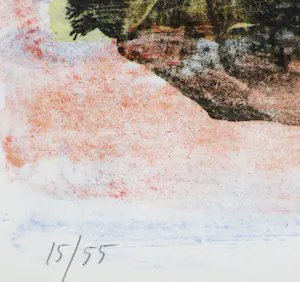 Jeroen Hermkens - Nimes kopen? Bied vanaf 100!