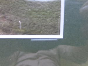 Piet Schipperus - HOLLANDS LANDSCHAP kopen? Bied vanaf 95!