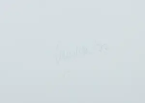 Hans Landsaat - Zeefdruk, Vlaamse weerspiegeling kopen? Bied vanaf 40!