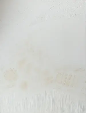 Georges Dussau - Détail imaginaire kopen? Bied vanaf 49!