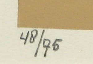 Niet of onleesbaar gesigneerd - Zeefdruk, A line of life - Ingelijst kopen? Bied vanaf 1!