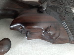 Curiosa - Godin hoofd uit Indonesië, Eben Wood kopen? Bied vanaf 1!