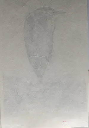 Chris Le Roy - Reiger kopen? Bied vanaf 50!