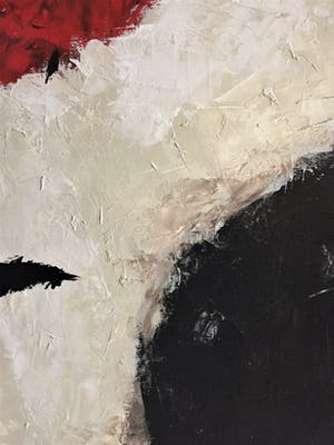 John Foppen - Birds Over Snowland.........# K 04. XL kopen? Bied vanaf 155!