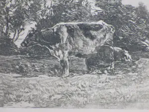 Willem de Zwart - Melkende boer - Ets kopen? Bied vanaf 65!