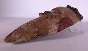 Tsogho - Initiatie masker van de Tsogho stam kopen? Bied vanaf 10!