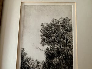 Jan van Rijsewijk - "Veluwe" kopen? Bied vanaf 35!