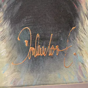 Peter Donkersloot - Struisvogel kopen? Bied vanaf 75!