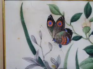 Niet of onleesbaar gesigneerd - Vlinder in bloemenpartij kopen? Bied vanaf 1!