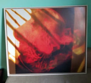 Phil van Wamel - Brainhair I. Mooie grote foto in houten baklijst. kopen? Bied vanaf 1!