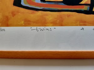 Ad Verstijnen - Twins kopen? Bied vanaf 50!