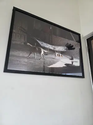 Panamarenko - Raven's variable matrix kopen? Bied vanaf 95!