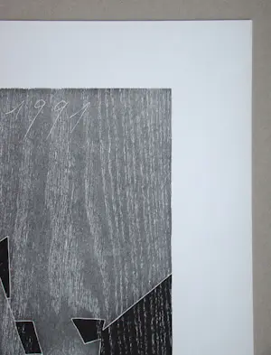 Franz Eggenschwiler - Donnerpfeile II, 1992 - Originele houtsnede, handgesigneerd kopen? Bied vanaf 160!