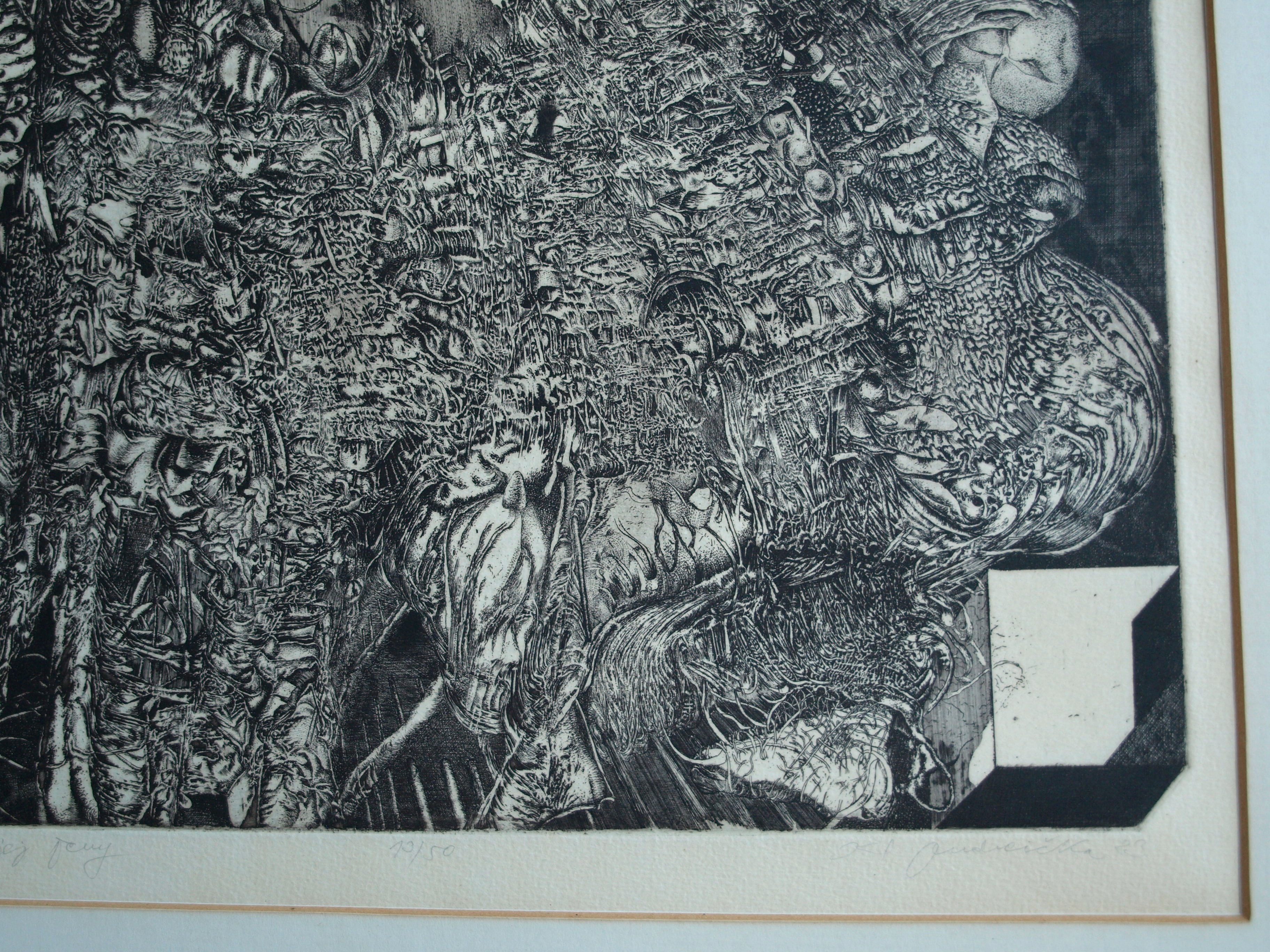 Karol Ondreicka - GROTE ets, “Moeder Aarde” – gesigneerd – 1983 – oplage 13 / 50 kopen? Bied vanaf 40!