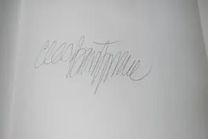 Cees Bantzinger - Lezende brunette aan een tafeltje - mooi ingelijst - & 2 boeken (1x gesigneerd!) kopen? Bied vanaf 150!