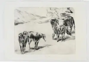 Wim Vaarzon Morel (jr.) - Grafieken - Paarden kopen? Bied vanaf 125!