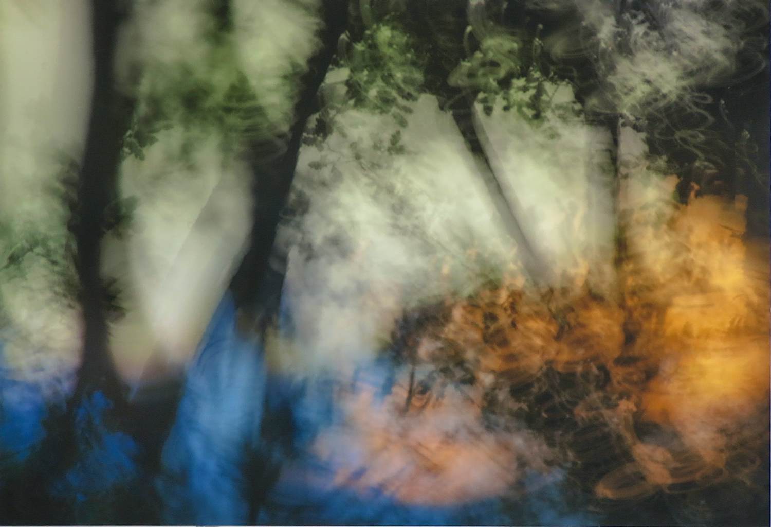 Hans van Ommeren - Fotografie op dibond, Bomen en licht verkocht voor € 50!