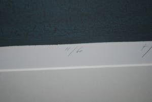 Hans Heijman - Landschap Vleugeldijk - grote kleurets oplage 60 ex. kopen? Bied vanaf 90!