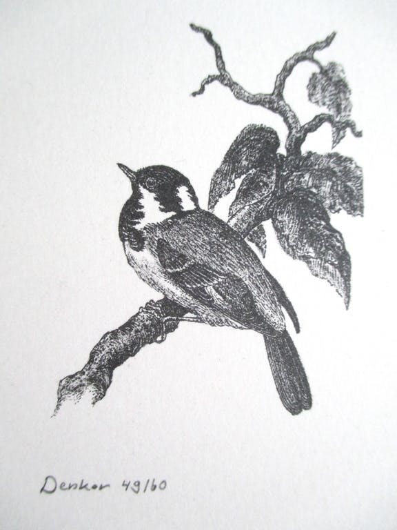 Denkor -  litho vogeltje kopen? Bied vanaf 10!