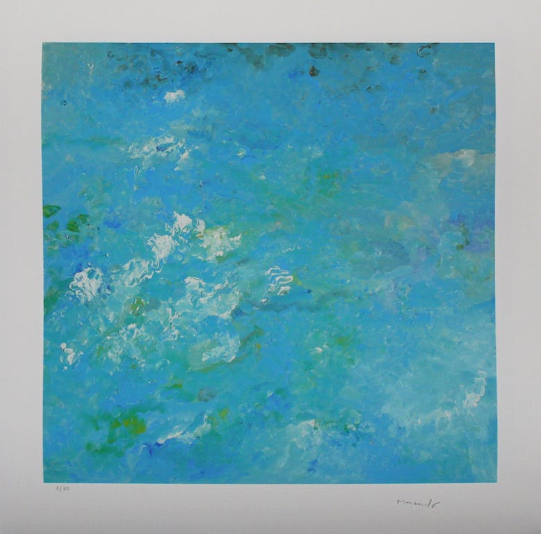 Armando - Armando - Glicée - 'Wasser'- 2015 - nr. 30/30 verkocht voor € 175!