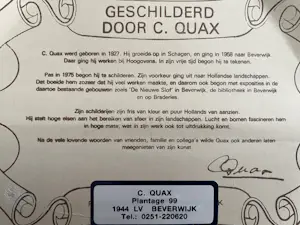 Cor Quax - Winterlandschap kopen? Bied vanaf 130!