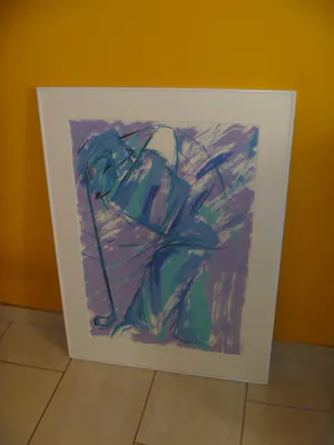 Anke Peddemors - afgeprijsd :gesigneerde zeefdruk , nr 2/75 , fraai ingelijst in zeer goede staat kopen? Bied vanaf 29!